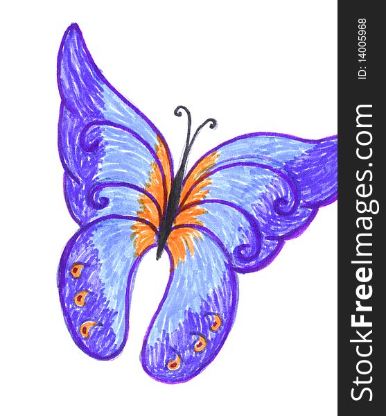 557x600 Butterfly, Stylish Colored Drawing