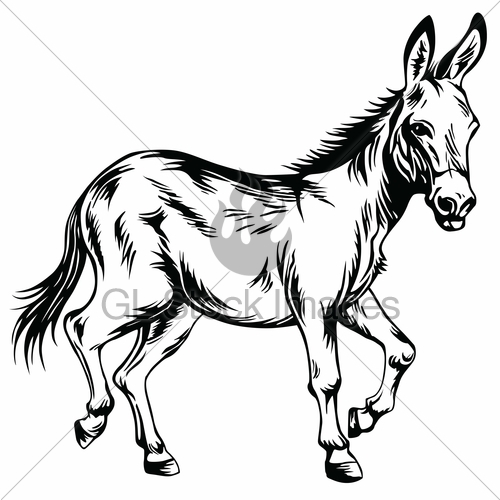 500x500 Donkey Stylized Drawing Illustration Vector Gl Stock Images