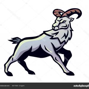 300x300 Linear Stylized Drawing Goats Head Vector Soidergi
