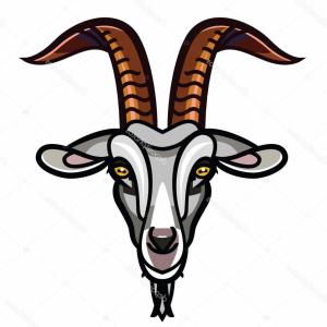 300x300 Linear Stylized Drawing Goats Head Vector Studiogrfx