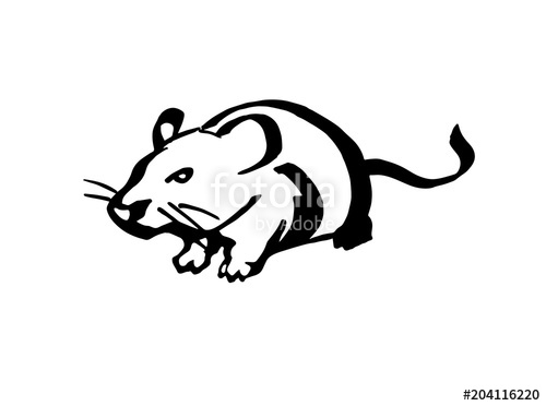 500x372 Mouse Stylized Line Drawing Stock Image And Royalty Free Vector