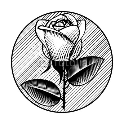 400x400 Round Retro Icon And Label With White Rose Vintage Engraving