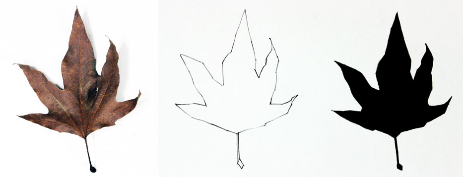 933x357 Contour Line Drawing