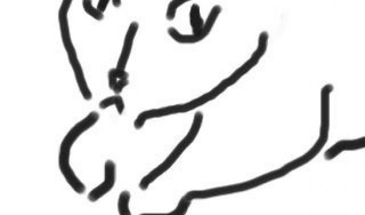 730x430 How To Draw A Cat