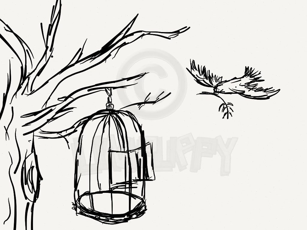 1024x768 Subject Drawing Freedom For Free Download