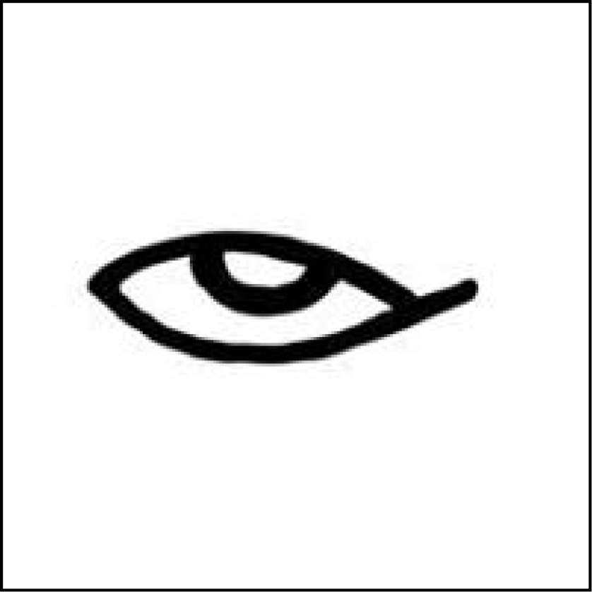 838x838 Writing Tom Haviv