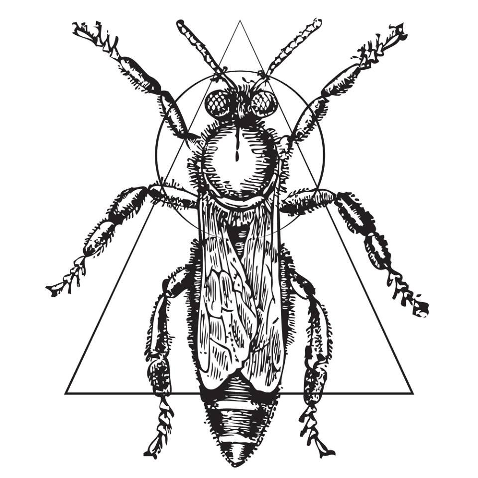 960x960 music suburban avenue