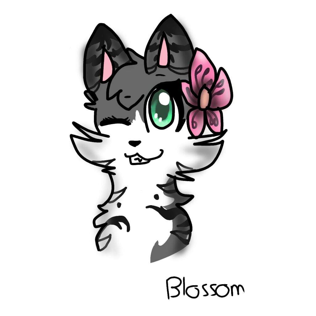 1024x1024 First Successful Drawing On A Tablet! Warriors Amino