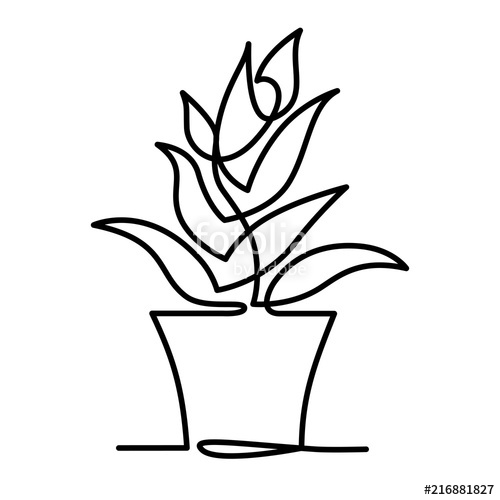 500x500 continuous line drawing of vector aloe vera logo icon for natural