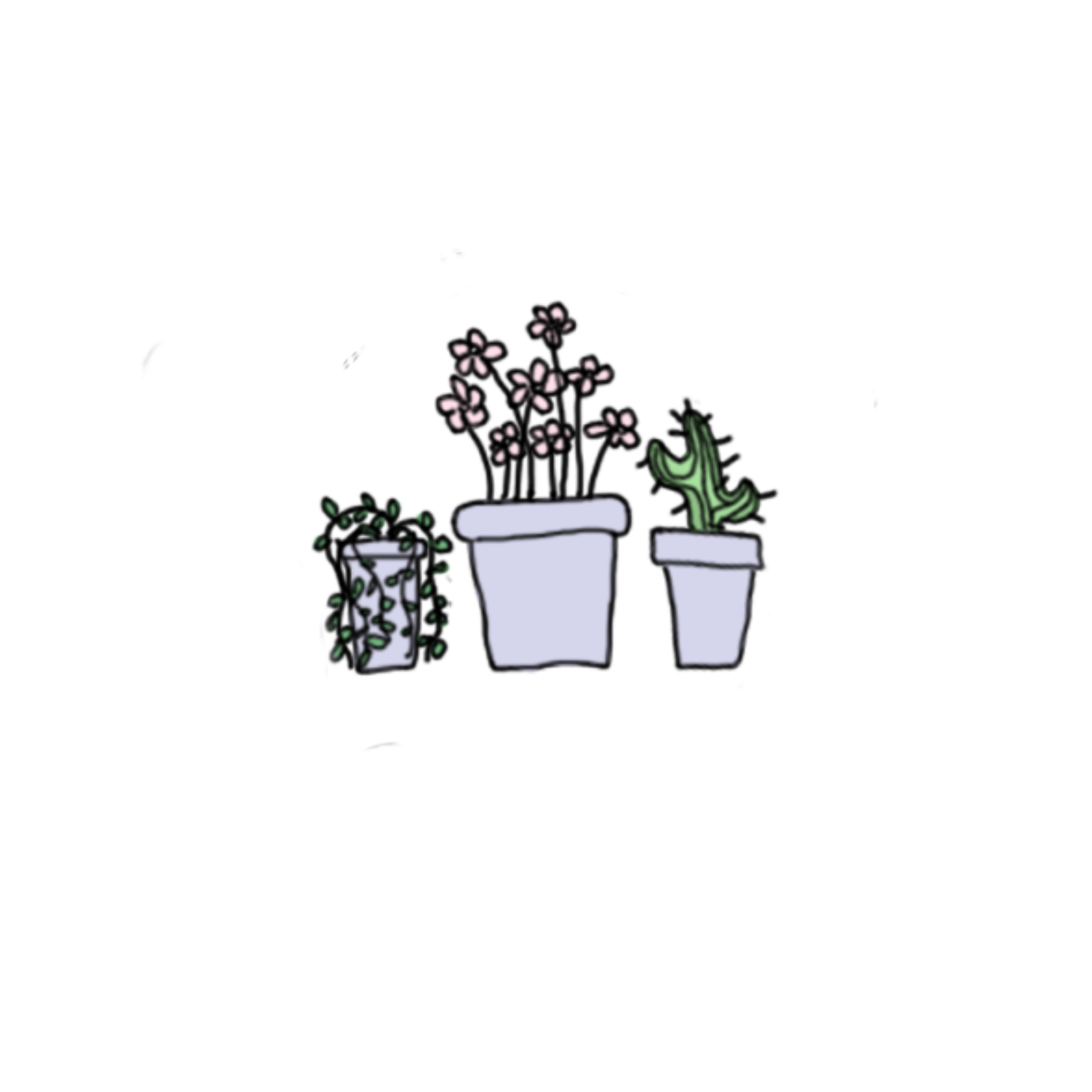 2828x2828 Plants Cactus Succulent Drawing Pastel Cute Aesthetic