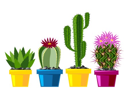 450x344 Cactus Flat Style Nature Desert Flower Green Cartoon Drawing