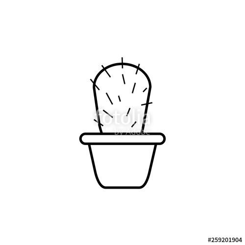 500x500 Cactus In A Pot, Home Plant, Succulent Stock Image And Royalty