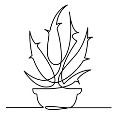 240x240 continuous line drawing of vector aloe vera logo icon for natural