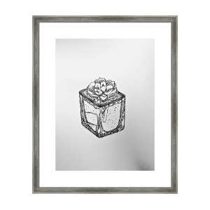 300x300 Succulent Line Drawing Framed Print