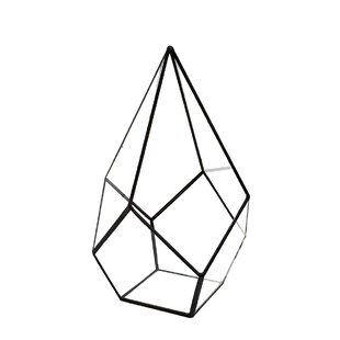 310x310 Terrariums You'll Love Wayfair