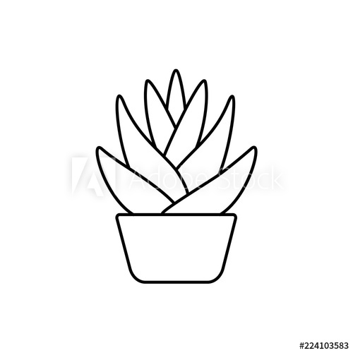 500x500 vector illustration of agave cactus line icon of desert succulent