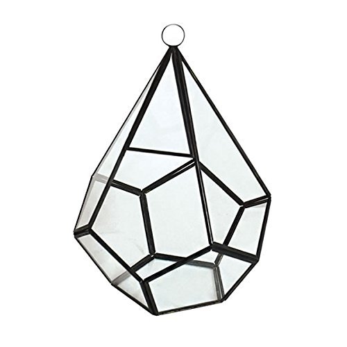 500x500 Wgv International Glass Terrarium Succulent Planter