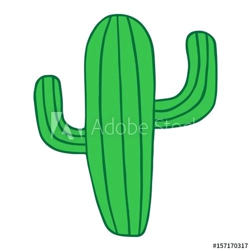 500x500 Cactus Plant Drawing Nature Illustration Of Cactus Plants In Pots