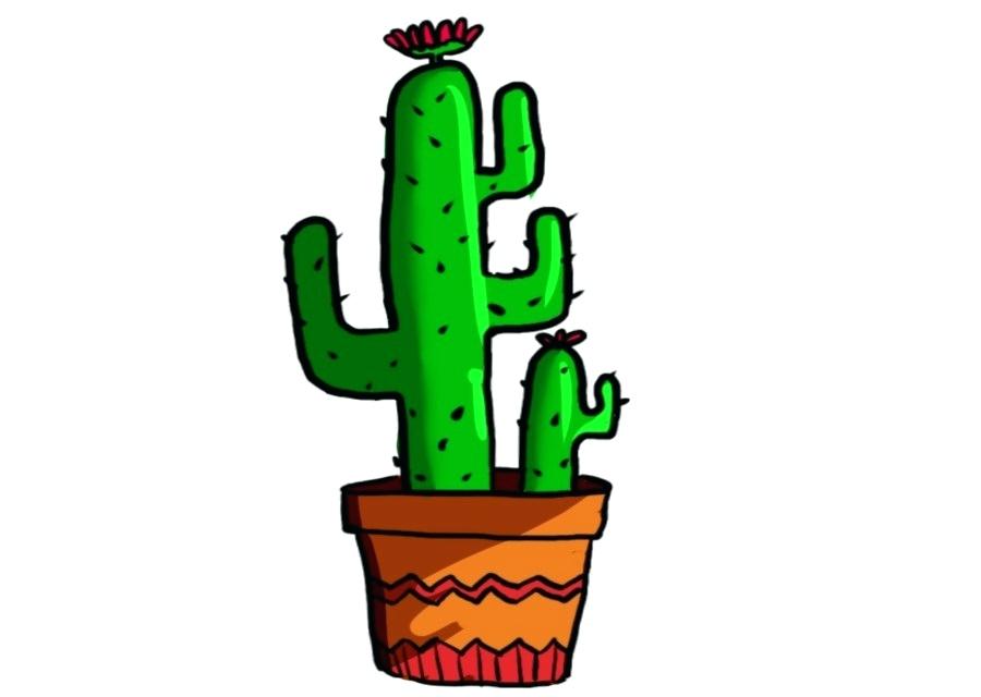 900x640 Catus Drawing Cactus Drawing Outline