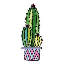 256x256 Drawing Cactus Succulent Transparent Png Clipart Free Download