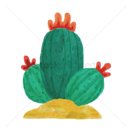 450x450 Free Succulent Plant Stock Vectors Stockunlimited