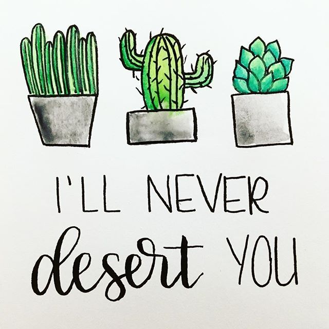 640x640 succulents and puns are definitely the way to my heart! drawings