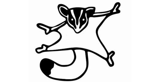 521x268 Nwa Sugar Glider Addicts