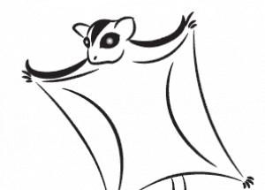 300x215 Sugar Glider Chibi Clipart