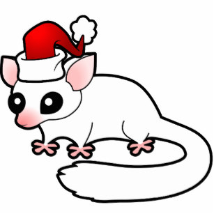 307x307 Sugar Gliders Photo Statuettes Zazzle Uk