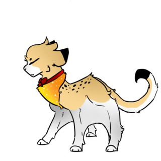 320x320 Sugarglider Drawings On Paigeeworld Pictures Of Sugarglider