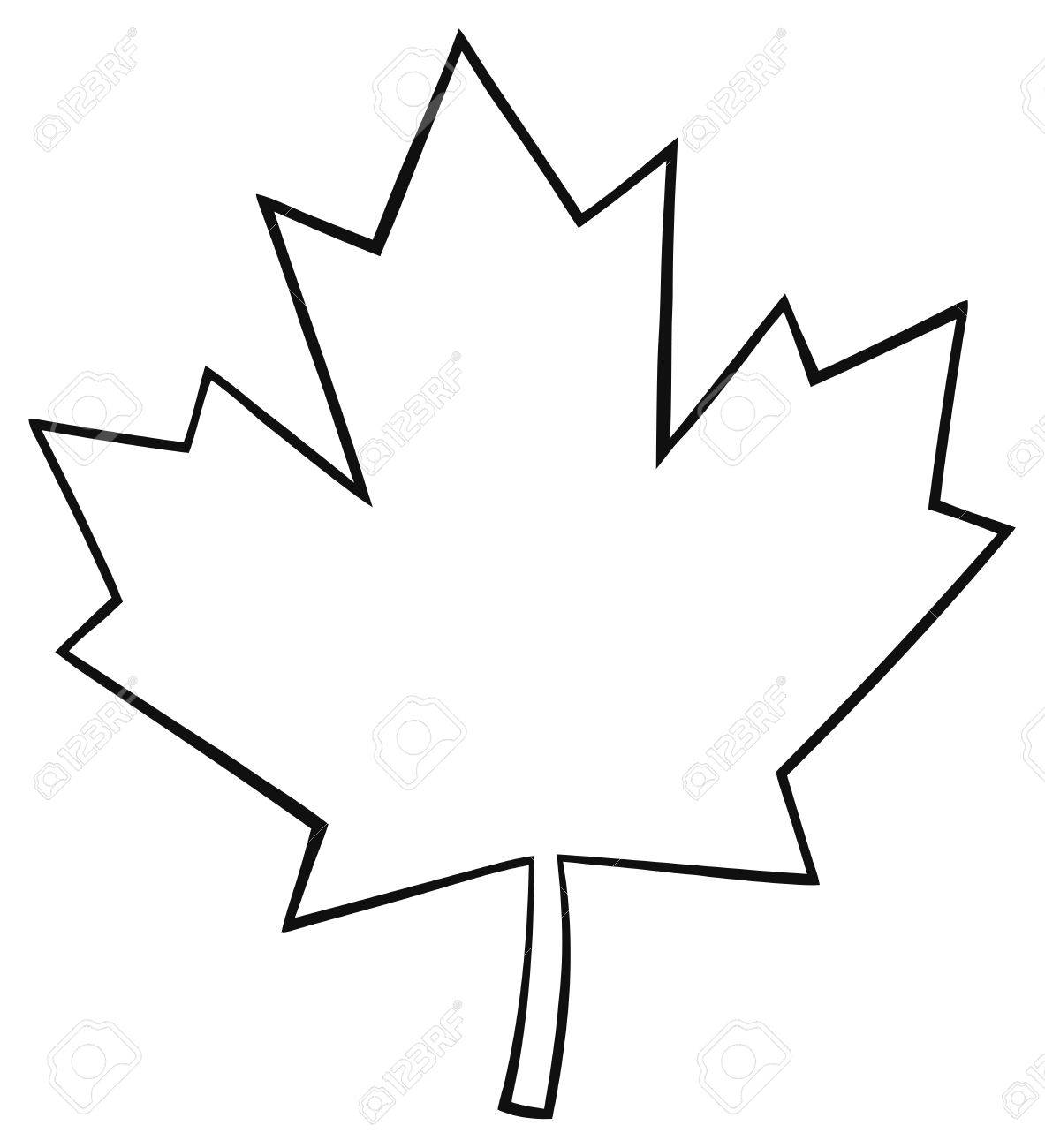 1183x1300 Huge Collection Of 'maple Leaf Line Drawing' Download More Than