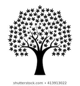 260x280 Huge Collection Of 'maple Tree Drawing' Download More Than
