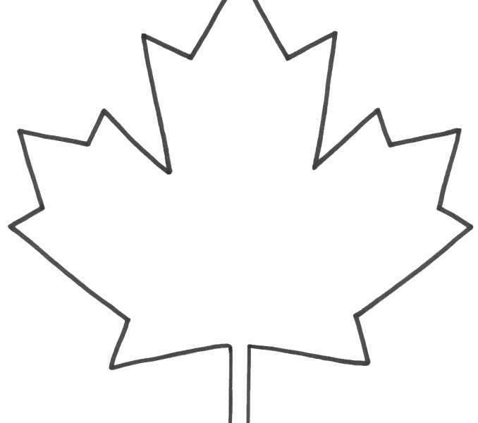 678x600 Maple Leaf Clipart Draw