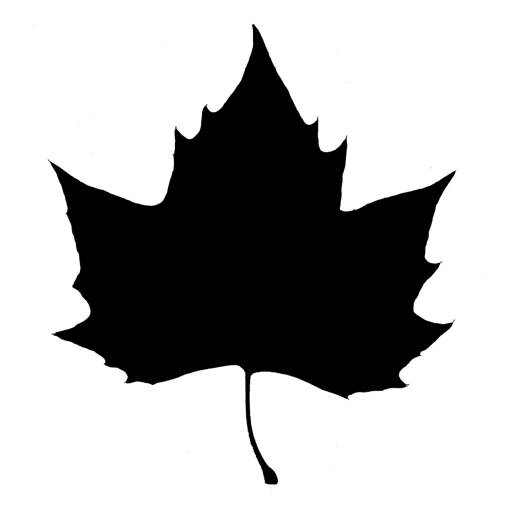 1024x1024 Sugar Maple Leaf Silhouette