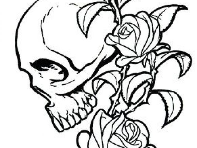 640x480 Drawing Of A Dead Rose This Could Be Possible If It Was A Sugar