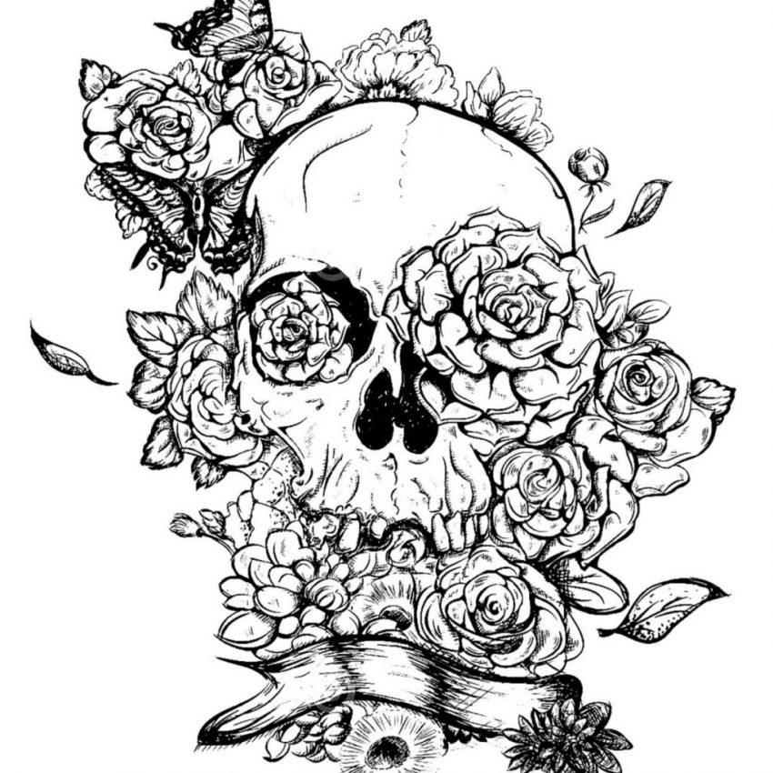 Sugar Skull And Rose Drawing | Free download on ClipArtMag