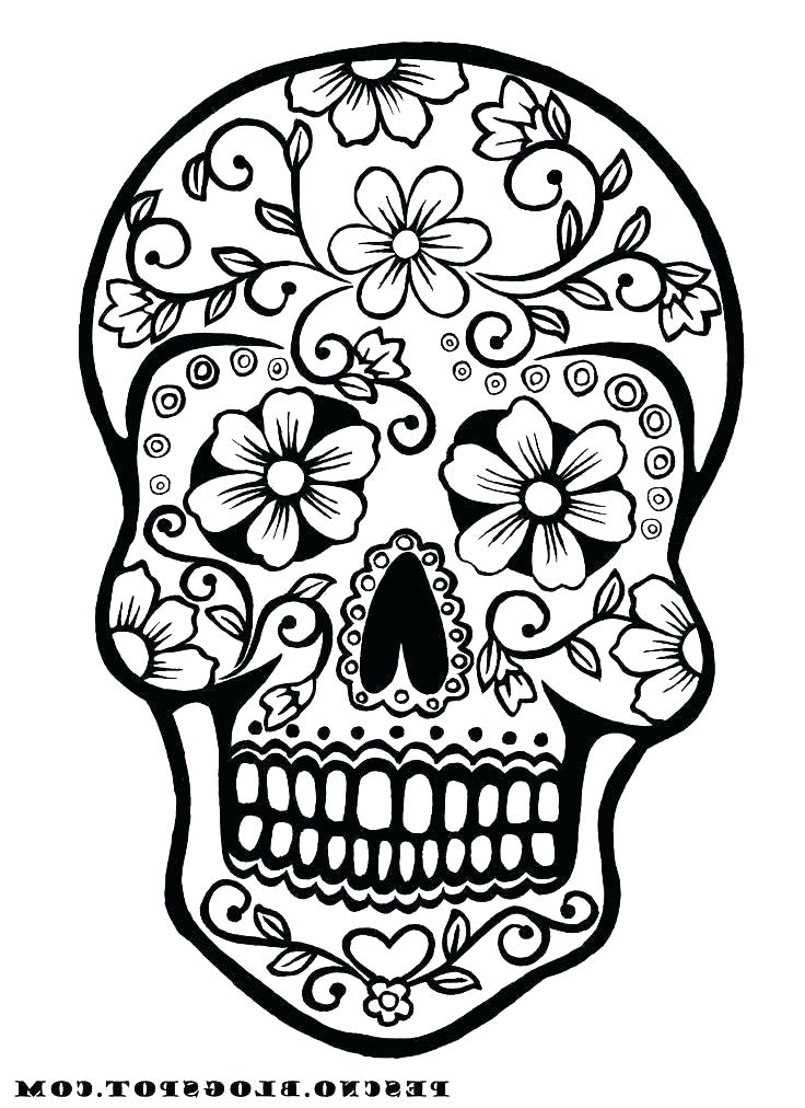 Sugar Skull And Rose Drawing | Free download on ClipArtMag