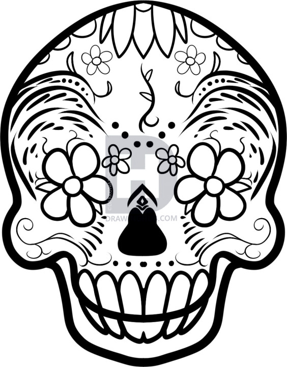 564x720 How To Draw A Sugar Skull Tattoo, Sugar Skull Tattoo, Step