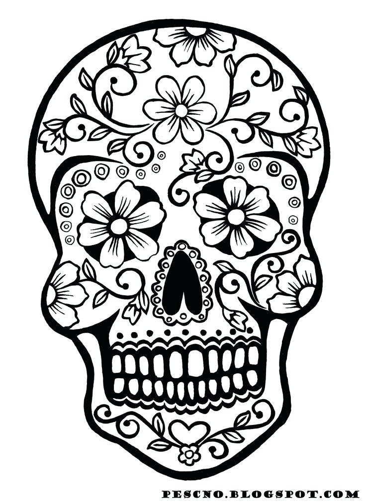 736x1012 Sugar Skull Drawing