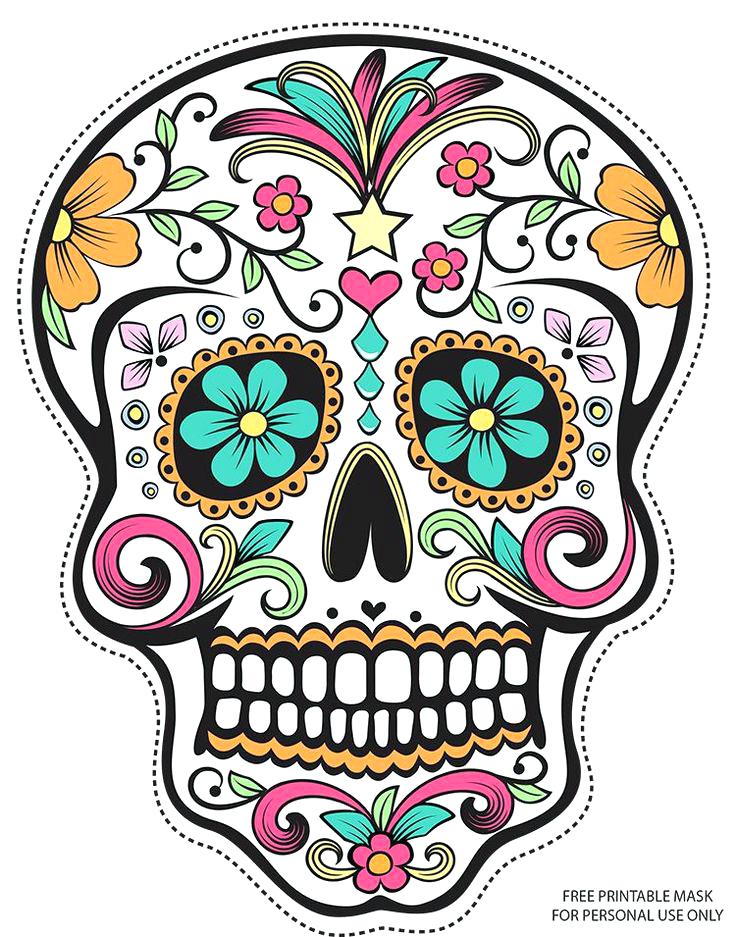 736x937 Sugar Skull Drawing S Step