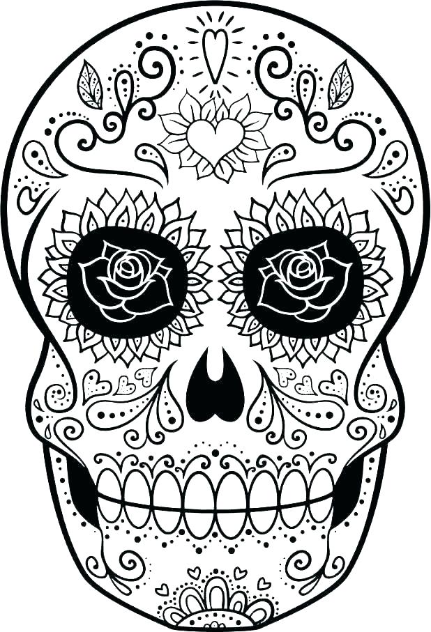 618x907 Face Skull Diagram