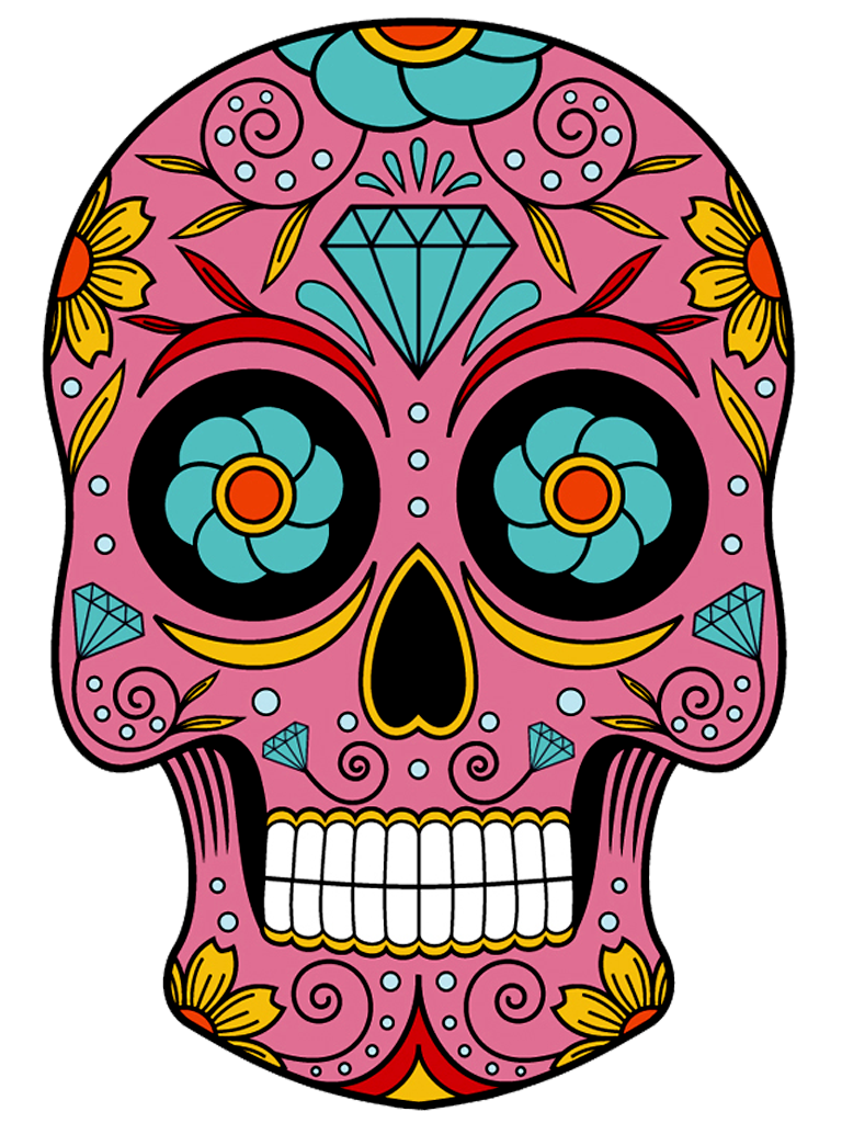 768x1024 Observation Drawing Skull Transparent Png Clipart Free Download