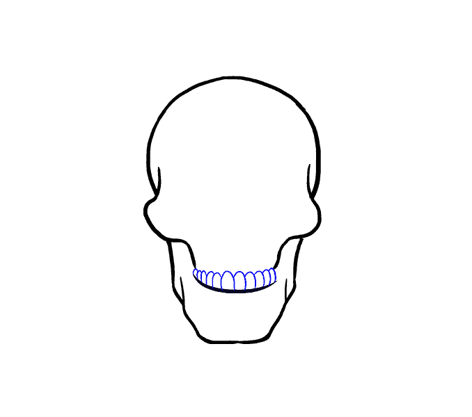 678x600 Huge Collection Of 'line Drawing Of A Skull' Download More Than