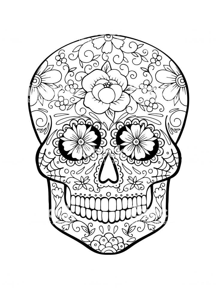 Sugar Skull Line Drawing | Free download on ClipArtMag