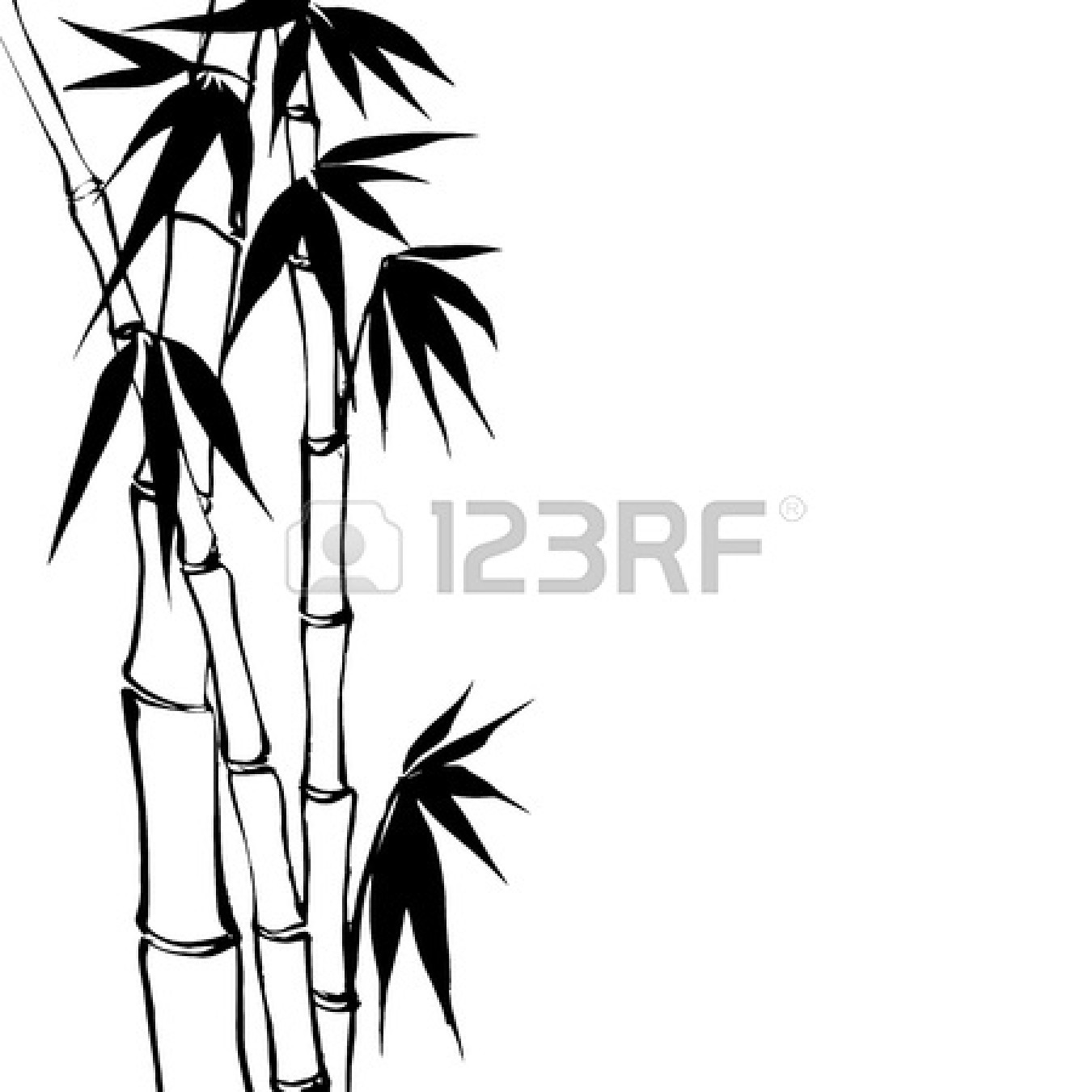 1350x1350 Sugarcane Drawing Bamboo Garden For Free Download