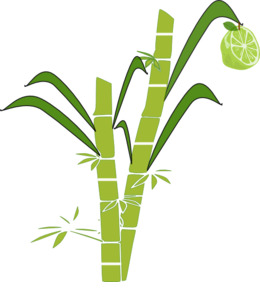 260x300 Drawing, Plant, Leaf, Transparent Png Image Clipart Free Download
