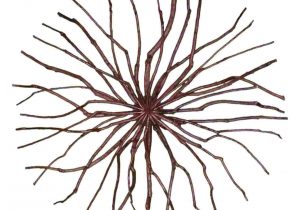 300x210 Drawing For Kids Of Fresh Raw Green Sugar Cane Sketch Style