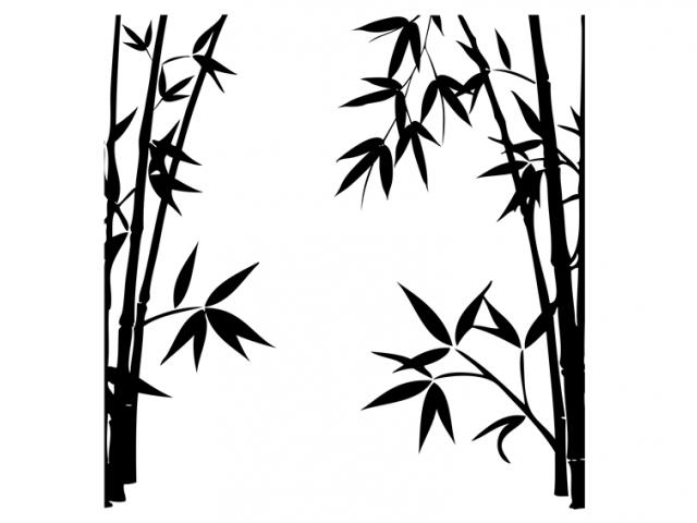 640x480 Sugarcane Drawing Bengal Bamboo For Free Download