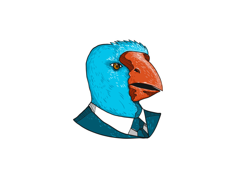 800x600 south island takahe in business suit drawing