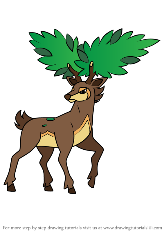 565x800 Learn How To Draw Sawsbuck
